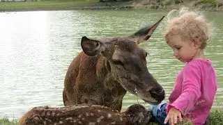 Nager avec une biche ? Pratiquez l'aquabiche à l'espace animalier de la Bédouère en Touraine