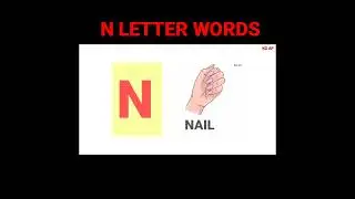 5 N letter words