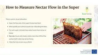 Honeybee foraging seasons and nectar flow