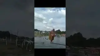 auto tsunami #lucu #ngakak #viral #shortsvideo #shorts