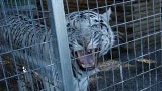 GW Exotic Animal Park