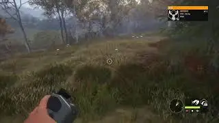 Call Of Wild Hunting