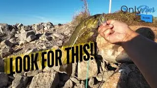 The Lake Lawtonka Pattern You Are Missing (Fall Frenzy)