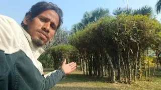 वर्किंग वीडियो झारखंड देहाती #addhavlogs @azadvlogs 