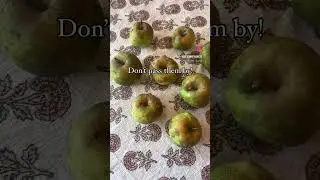 Those black spots on wild apples are usually safe to eat. Enjoy the harvest! #foraging
