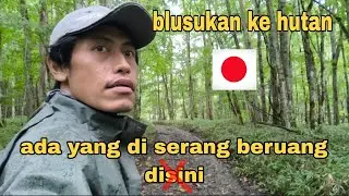 BIKIN MERINDING !! BLUSUKAN KE HUTAN PEDESAAN JEPANG