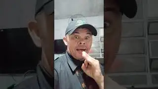 Bil respondendo atropas