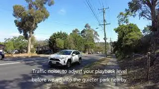 DJI Pocket 2 with AT8024 external stereo mic and 'dead kitten'