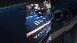 BYD M6