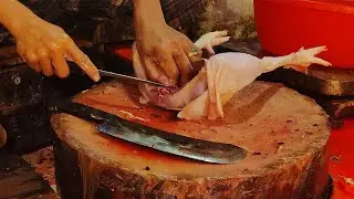 Fastest Chicken Cutting Skills | Easy Chicken Cutting at Home | Whole Chicken Cutting Skills
