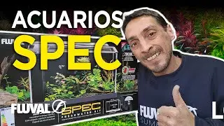 A&ntilde;ade un dise&ntilde;o a tu escritorio | Acuarios de la serie Spec