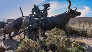 Cattle Drive