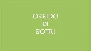 ORRIDO di BOTRI Discesa integrale del Rio Mariana