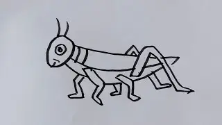 How to draw Grasshopper 🦗 step by step//insect drawing/grasshopper drawing easy @JSdrawing
