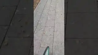 доброе утро с*ка   тгшчка: nopain_nomilf #recommended #fix #fixedgear #morning