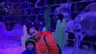 Dubai  Glow Garden, Dinosaur Park, Art Park, Ice Park