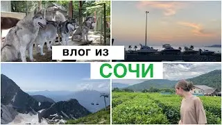 ВЛОГ из СОЧИ 2024 🏔️