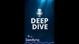Deep Dive Podcast Ep  1 - Financial Knowledge is Power.