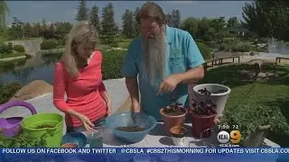 In The Garden With Nick Federoff: Using Polymers To Provide Nutrition And Hydration To Plants