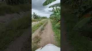 oppo find x3 pro stabilization test