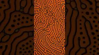 ferrofluid mixed with ink on a microscope slide