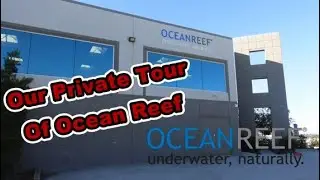 Touring The Ocean Reef Group In California
