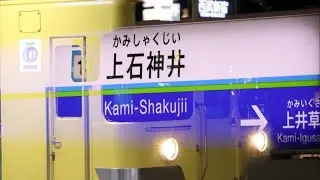 Tiger Kami-syakujii