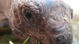 Egyedül vagy párban? :)