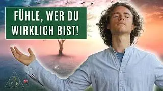 Raum der Heilung - Live Meditation
