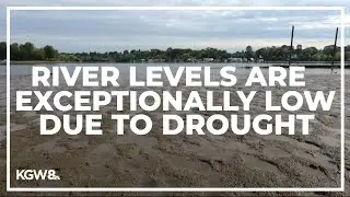 Drought leads to unusually low water levels on the Willamette, Columbia rivers