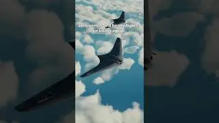 Flying Wing
