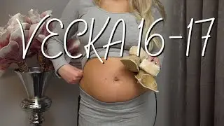 GRAVID | VECKA 16-17