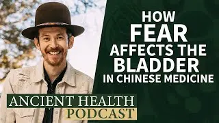 How Fear Affects the Kidneys and Bladder in Chinese Medicine