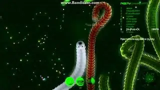 Wormax.io Лучшие Моменты Клан [TH]-Patriot