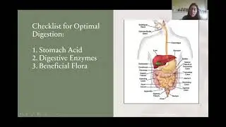 Optimizing the Digestive Tract