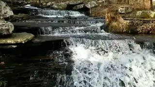 Collins Creek