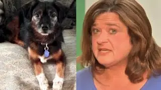 Westchester family furious Pit Bulls returned to owners after attacking, killing their dog