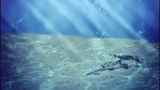 The Space Ensemble Project Lost Key (Chillout Mix)