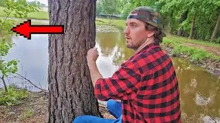 Installing a RING Camera to Investigate a Dam Builder!