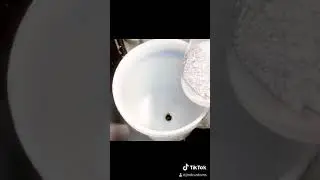 Short metal flake video