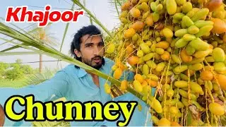 Most Dangerous Khajoor  chunney in Pakistan | Bhatti vlogs 07 | 1 Million subscribers