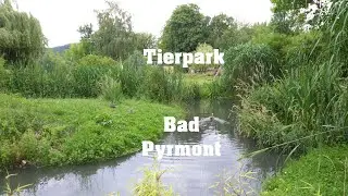 Tierpark Bad Pyrmont (Tourists Attraction in BP, Part 1) - Film 4K