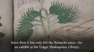 What We Know About the Voynich Manuscript
