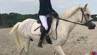 Carrie&Sam TRAINING LEVEL TEST 2