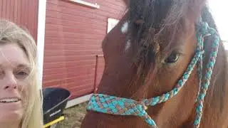 Mustangs and Nappy tangled locks Uh OHH.. Hair gone Wild!!