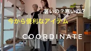 セレクトショップ Fans 今着たいコーディネート