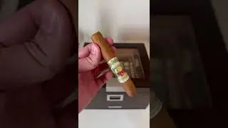🌞😋 SMOKING THE MOST DELICIOUS SAN CRISTOBAL CIGAR ON A SUNNY DAY! MUST WATCH! 😍🔥#cigar #asmr
