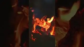 Cozy Campfire ASMR: 1-Hour Loop of Relaxing Fire Sounds for relaxation and studying.