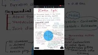 🚨Cardiac cycle|cardiac output|systole and diastole|#neet#biology#easy#shortsfeed#shorts#viral