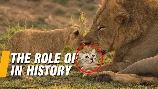 why are Lions important in history 